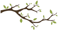 Branch Home Services Logo