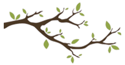 Branch Home Services Logo
